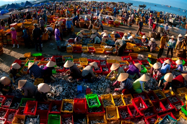 Chợ Cá Long Hải - Ảnh triển lãm liên hoan ảnh khu vực Đông Nam Bộ 2015