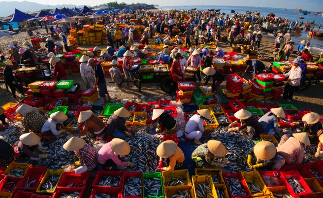 Chợ Cá Long Hải - Ảnh triển lãm liên hoan ảnh khu vực Đông Nam Bộ 2017